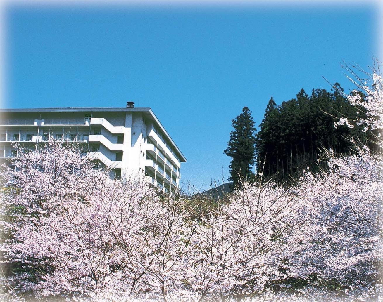 ฮิโนะตะนิ ออนเซน มิซุงิ รีสอร์ต Hotel สึ ภายนอก รูปภาพ